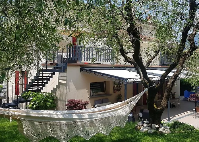B&B Forsesiforseno